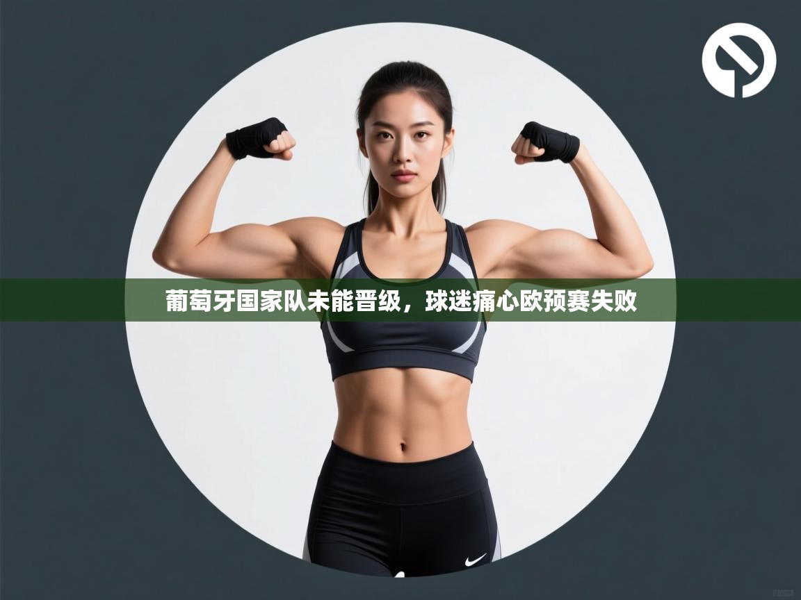 葡萄牙国家队未能晋级，球迷痛心欧预赛失败  第2张