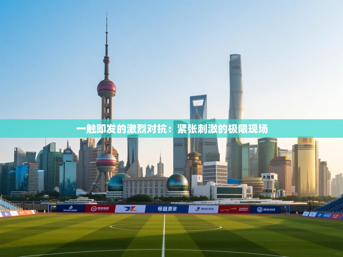 一触即发的激烈对抗:紧张刺激的极限现场 第2张